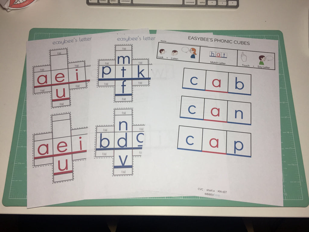 EASYBEE PHONICS CUBES