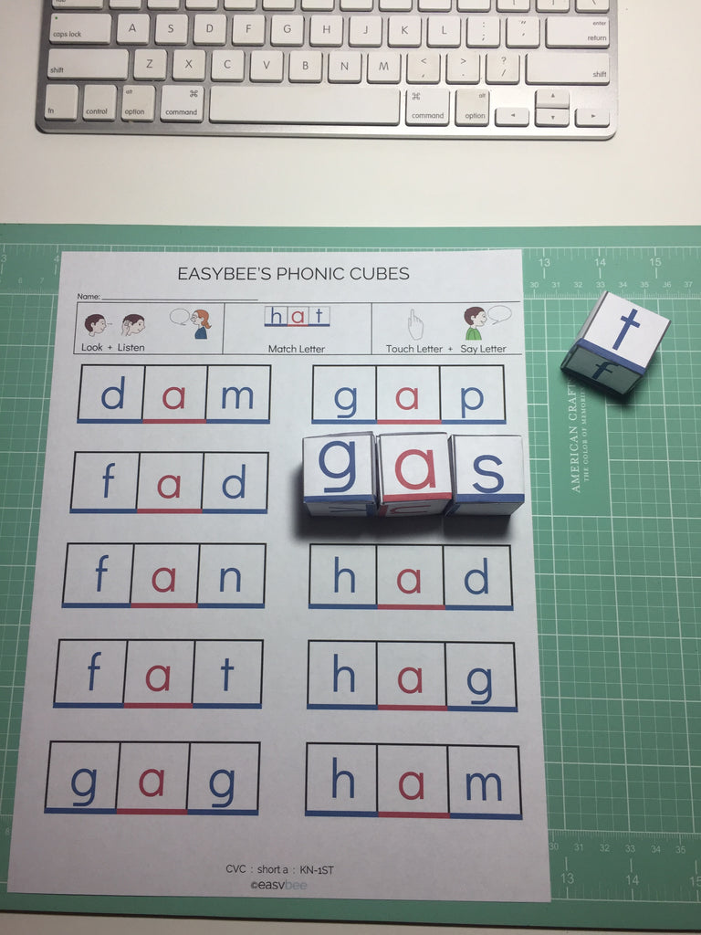 EASYBEE PHONICS CUBES