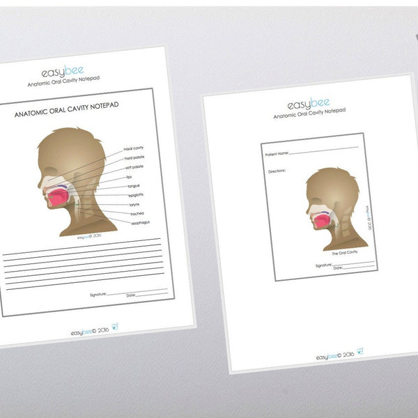 Printable Notepad - anatomic oral cavity